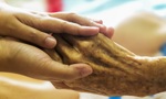 2 hands holding an elderly hand