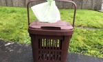 Festive food waste