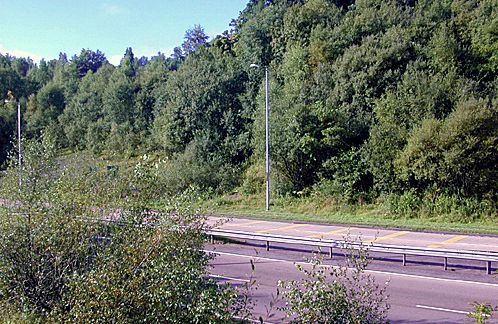 Site of Tullichewan Castle 2003