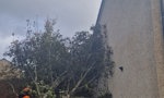 Storm Response