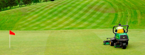 Dalmuir Municipal Golf Course's 18th green
