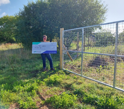 Image showing the proposed or completed community garden plots