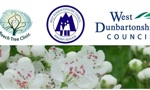 spring foraging banner.jpg (5)