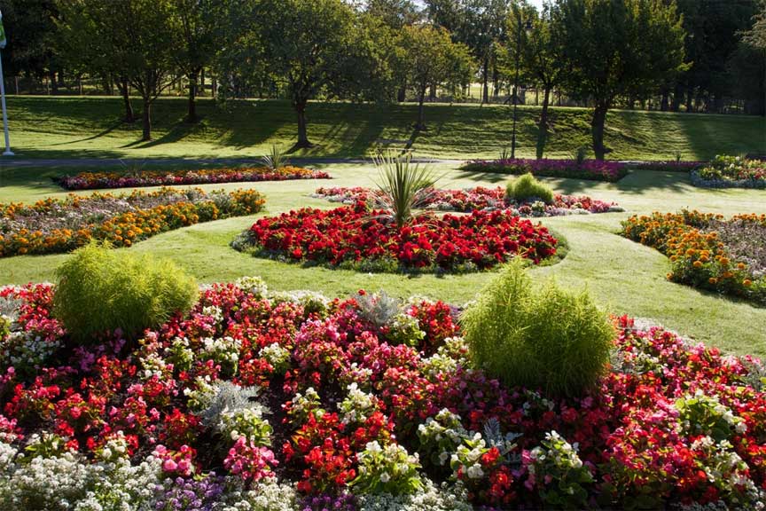 Dalmuir Park Flowerbeds