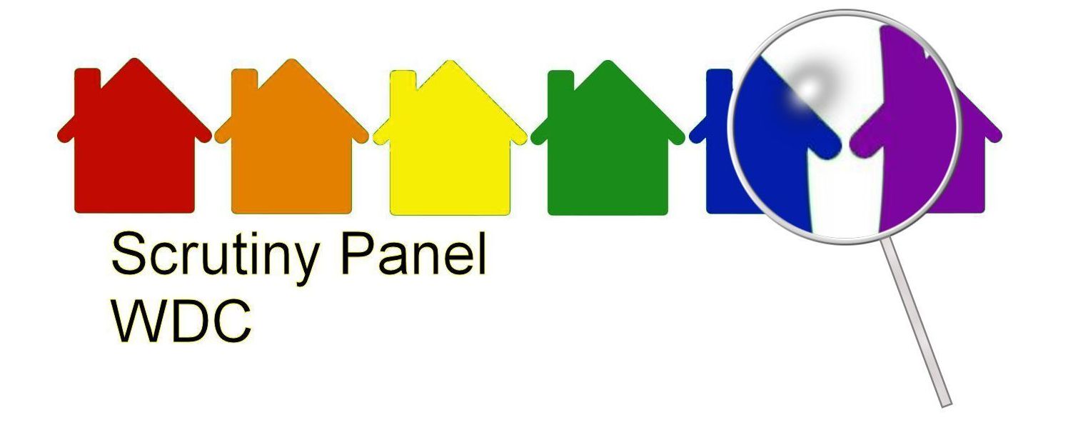 scrutiny panel logo2