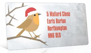 Christmas card with little bird wearing a Christmas hat