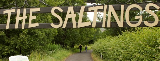 The Saltings Local Nature Reserve