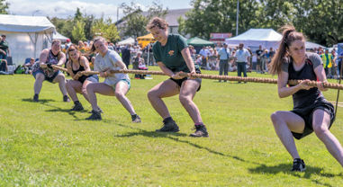 tug-o-war
