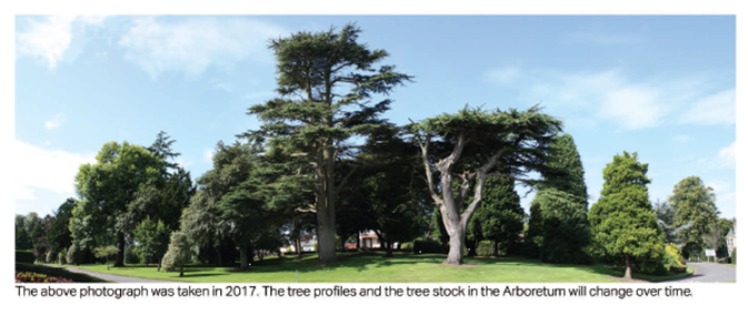 Arboretum trees