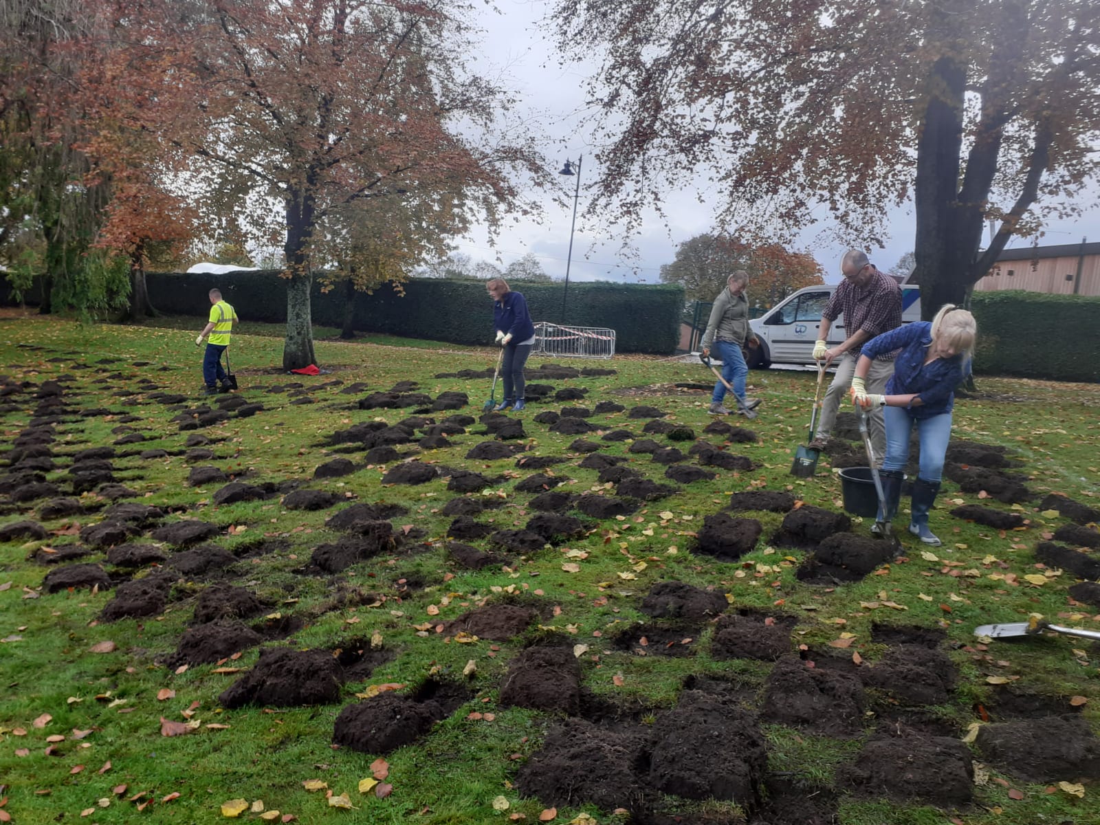 image of Volunteers digging away
