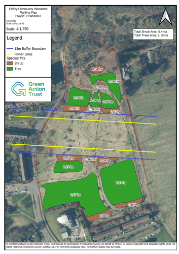 Faifley Community Woodland