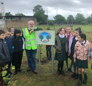 Drumry Community Orchard