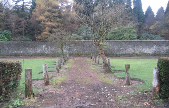 Walled Garden Before - damaged path, dead tree trunks