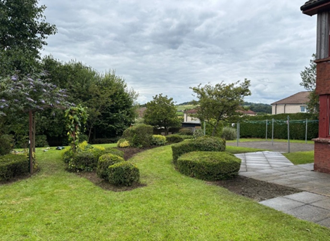 A close-up shot of the finished flower beds, freshly weeded and planted, next to a manicured lawn.