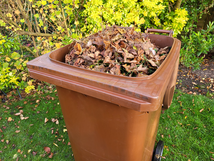 Garden Waste bin full of grass and leaves