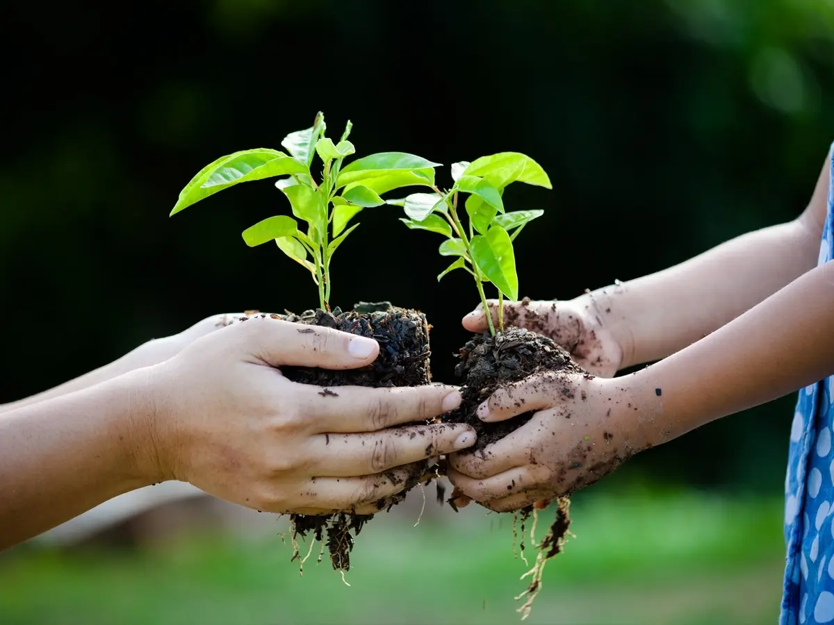 Clydebank Plant Swap