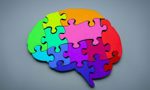 Jigsaw of a brain