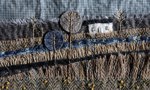 Intro to Embroidery