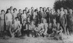 SMM2025 Denny Brothers - draughtsmen & women outing c1950.JPG