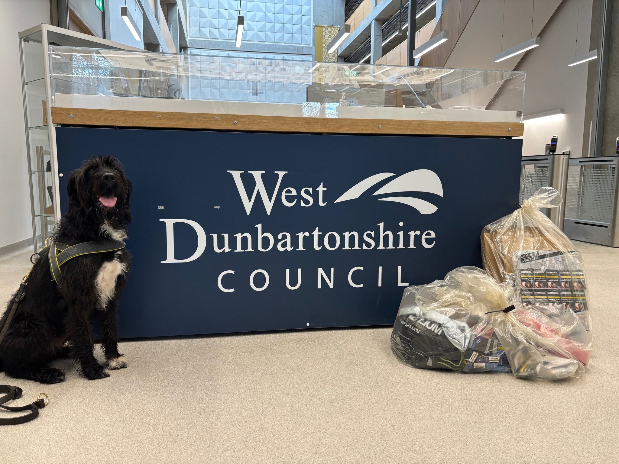 Our Trading Standards team with help from Police Scotland Argyll & West Dunbartonshire and a specially trained detection dog recently seized £8330 of illegal tobacco.